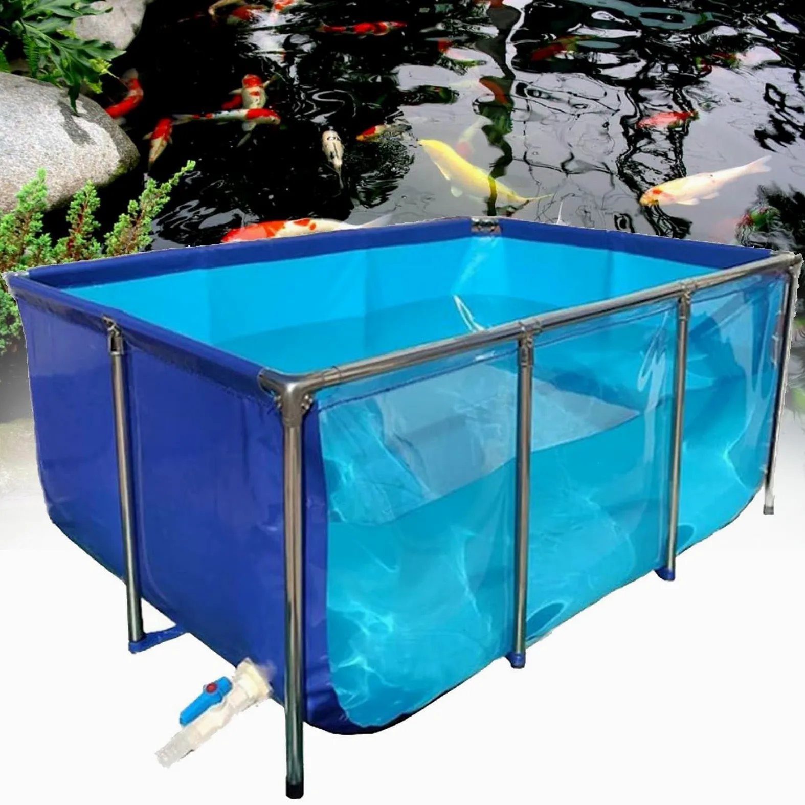 Bassin à koï en toile PVC pliable transparente pour l'aquaculture en plein air, assemblage facile (150 x 100 x 60 cm) - Idéal pour l'élevage de poissons et la décoration de jardin