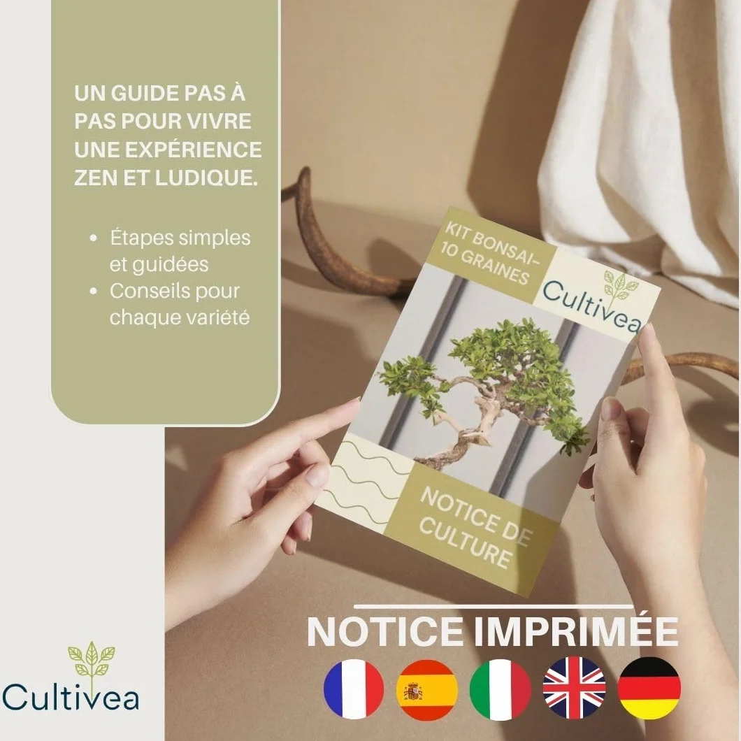 CULTIVEA® Kit Bonsai Prêt à Pousser – Coffret Complet Graines Pots Outils Notice – Jardinage Intérieur