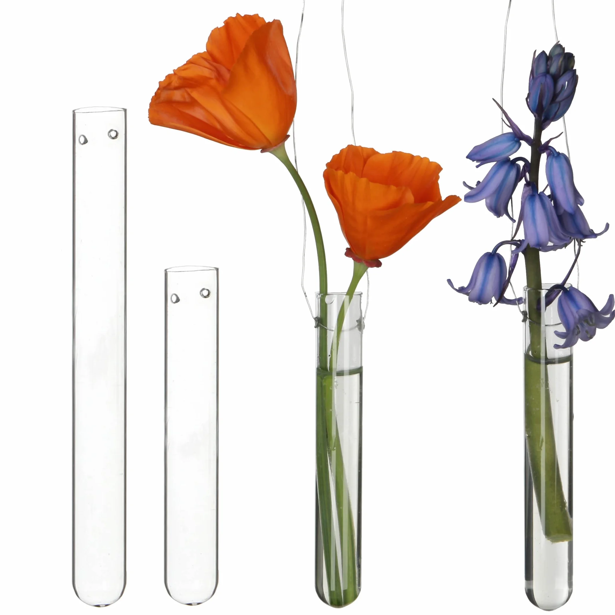 COMFORDER Vase Décoratif en Verre pour Fleurs, Boutures - 12 pcs