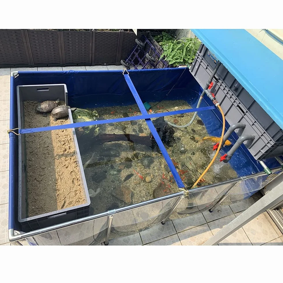 Bassin à poissons hors sol avec fenêtre transparente, doublure en PVC durable et cadre en acier robuste pour l'élevage de carpes koï et installation facile
