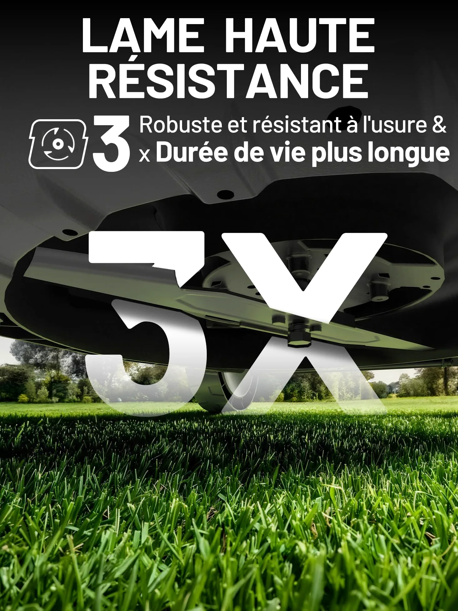 Litheli Tondeuse à Gazon sans Fil 38cm, 2X 20V Batteries 4.0Ah, Hauteur Réglable 25-75mm, Bac 40L, pour Pelouses jusqu'à 300m² (Jardin & Petits Espaces)