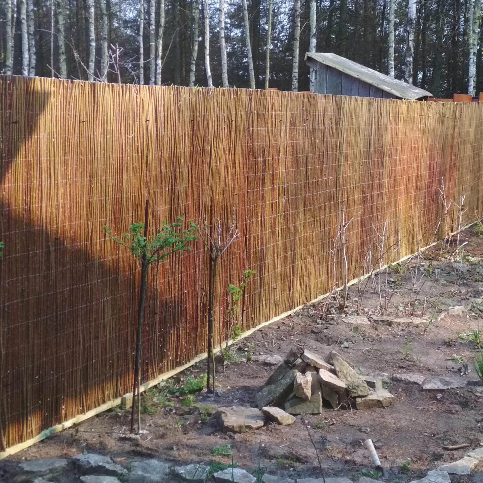 Canisse Osier Déco Naturelle 40 x 300 cm Brise Vue Jardin Balcon Cloture Exterieur Pare Soleil