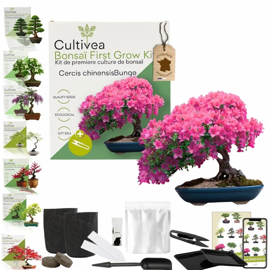 CULTIVEA® Kit First Bonsai – Kit de première culture de Bonsaï avec Graines & Accessoires, Made In France