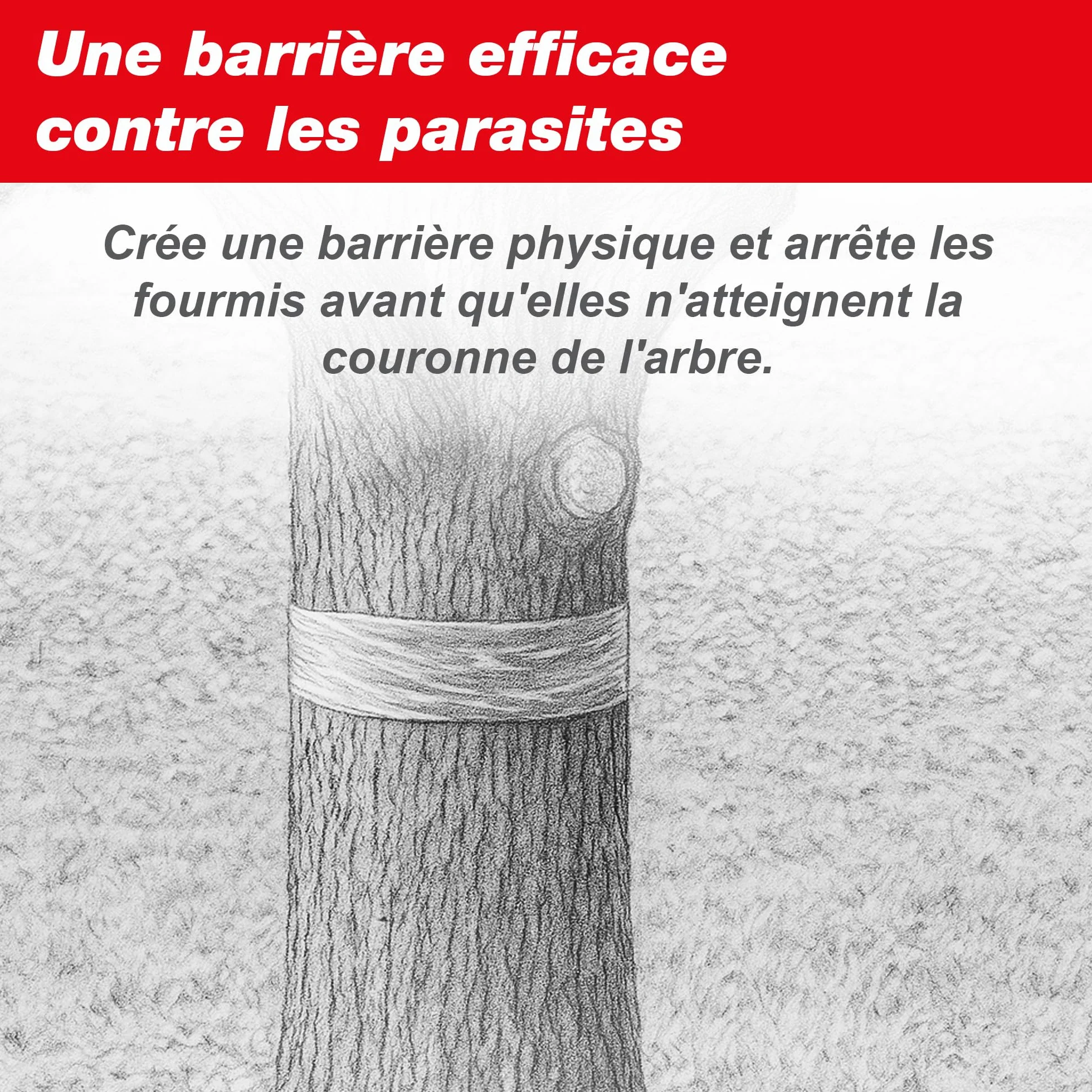 SWISSINNO Ruban adhésif Anti-Fourmis pour Insectes rampants 5 cm x 5 m Protection des Arbres