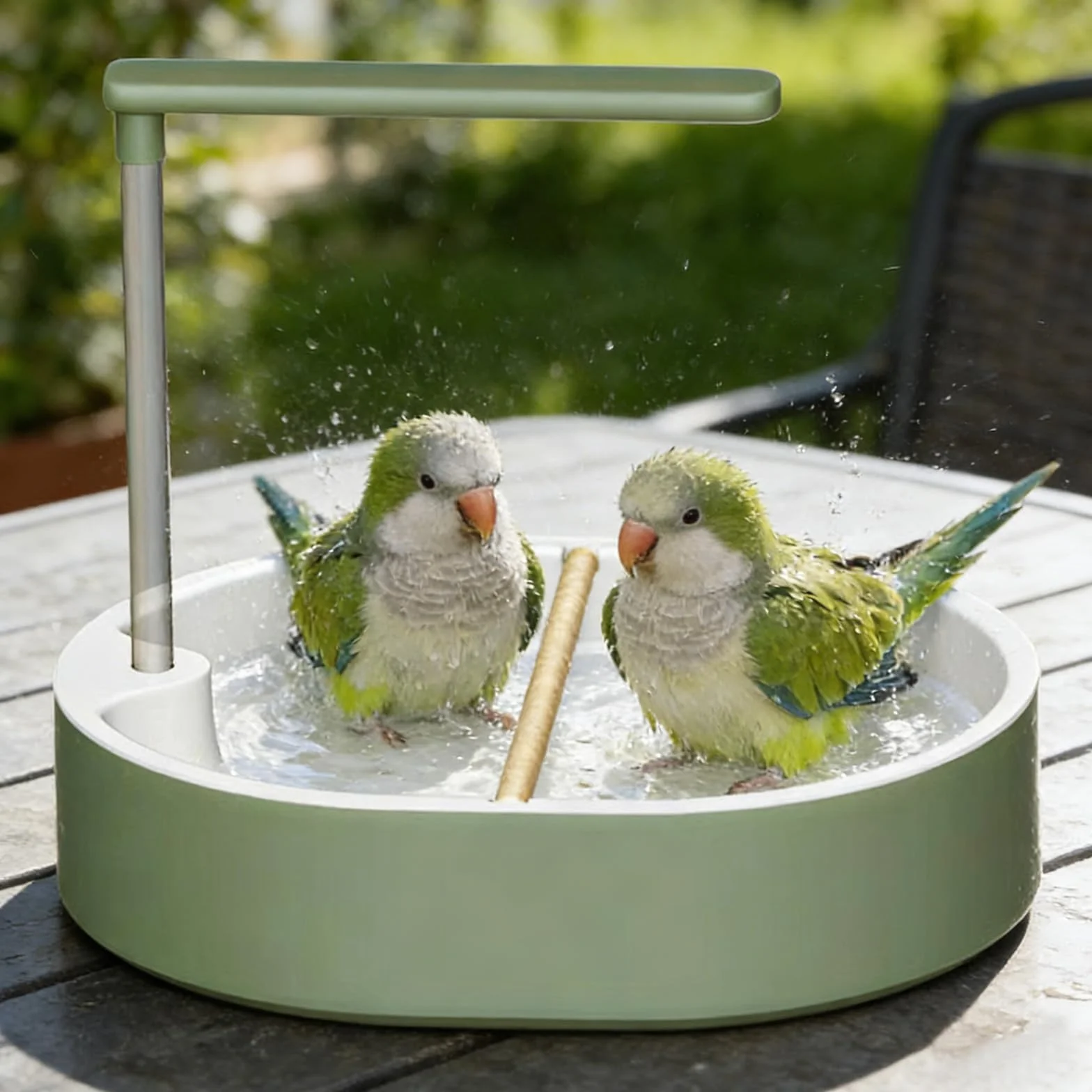 Bain de volière Universel pour Oiseaux : Fontaine de Douche Automatique pour perruches, Grand Bain pour Perroquet, Baignoire à Eau circulante pour perruches, Conures, cacatoès et Diamants de Gould