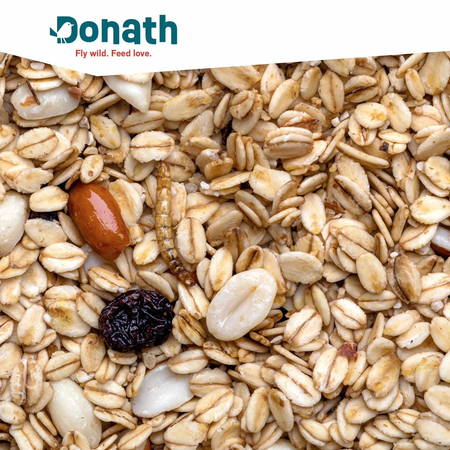 Donath Mix Énergie Oiseaux Sauvages Nourriture 1 kg