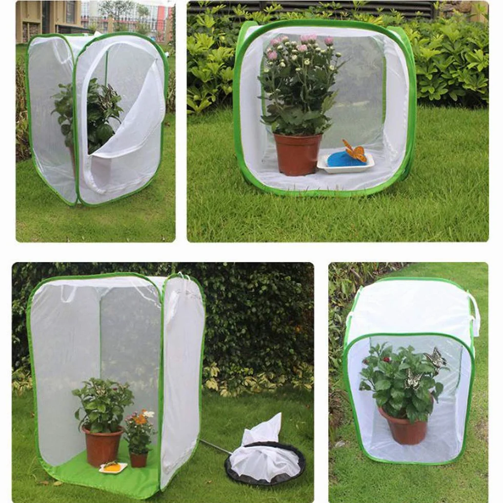 Cage Papillon Habitat Insecte Élevage avec Film PVC Transparent Pliable Amovible Blanc Filet Serre Tente pour Extérieur