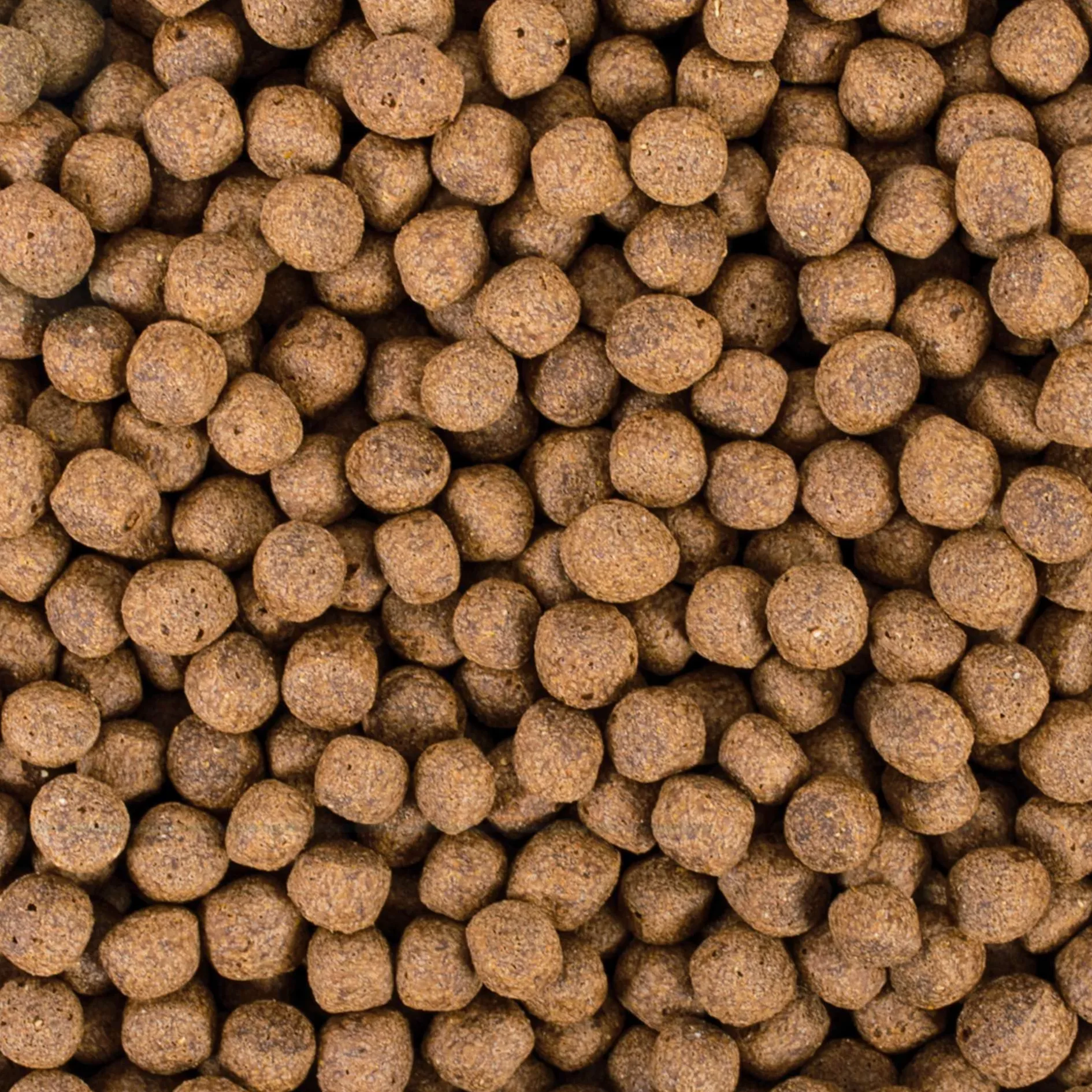 Koi PROBIOTIC Pellet Size L 7kg - Nourriture pour Poissons de Bassin sous Forme de Gros granulés flottants
