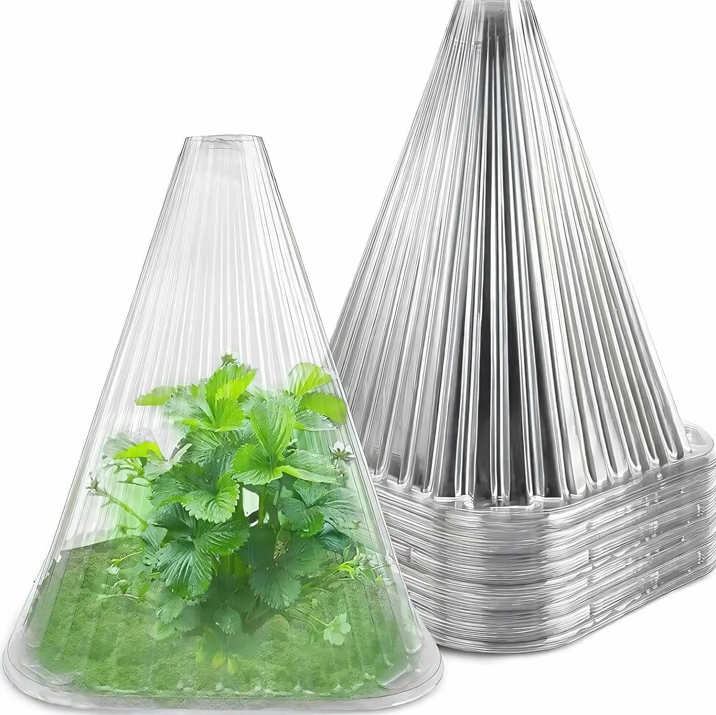 KAHEIGN 20 Pièces Cloches pour Plantes de Jardin 22CM x 19CM Plastique Protection Contre Gel