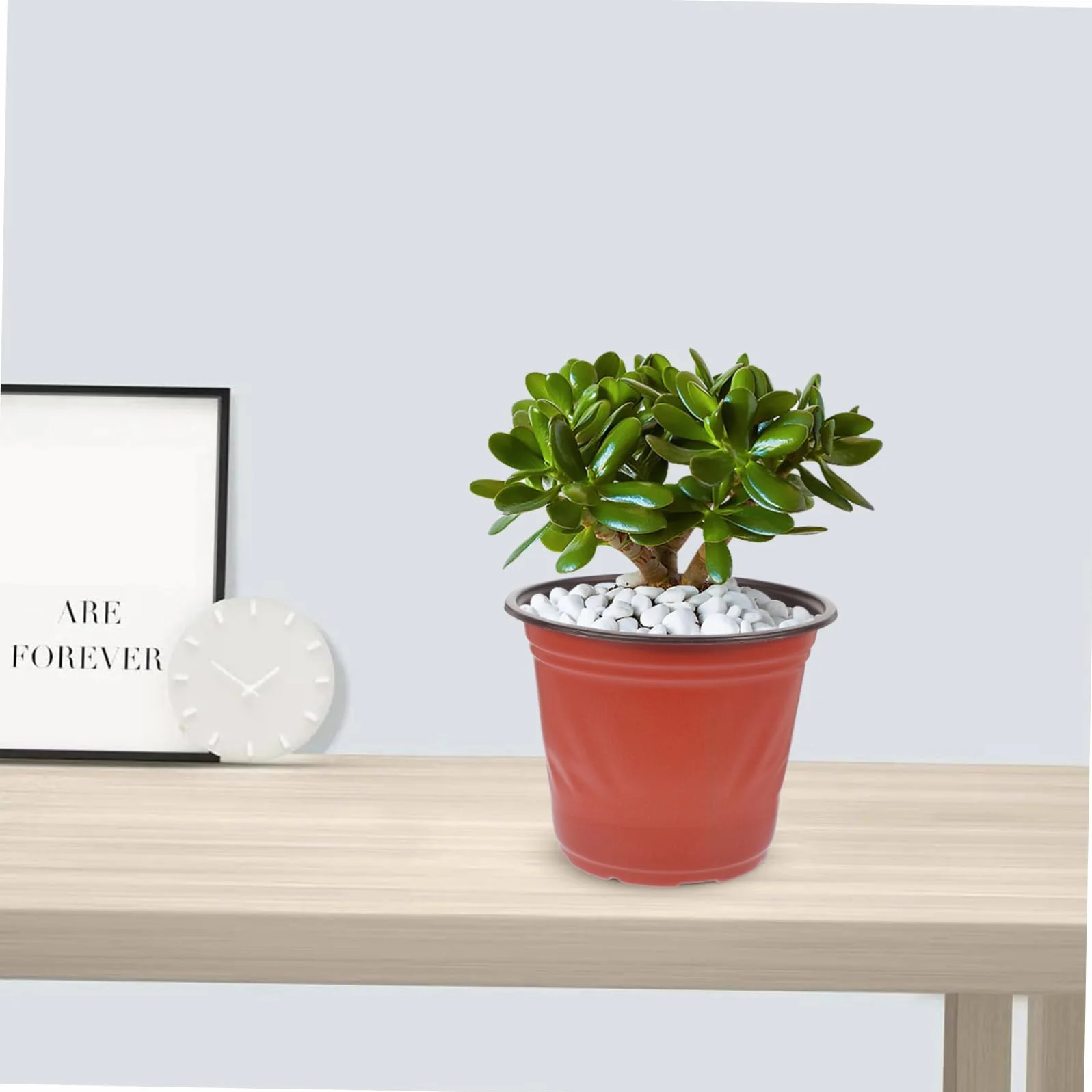Pots de Fleurs en PP Bicolore 4.65 Pouces Lot de 50 pour Jardinage et Plantes Succulentes Réutilisables