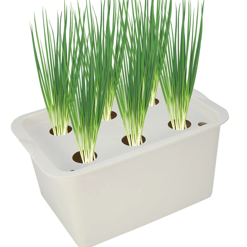 Kit de culture hydroponique, kit de culture de système hydroponique de plantes à 6 trous Kit de jardinage d'herbes d'intérieur de boîte à outils de calibrage intelligent bricolage(gris)