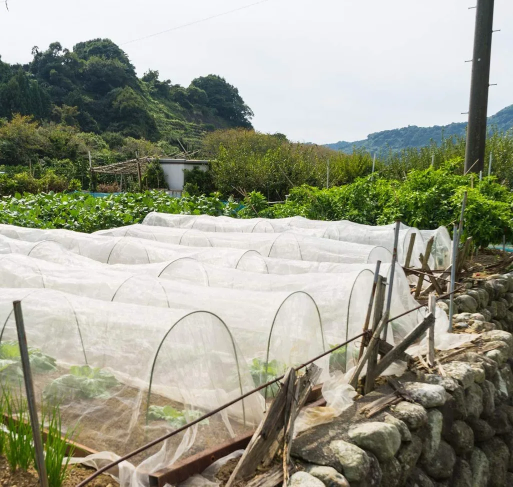 Filet anti-insectes de jardin en maille fine : 3 x 9,9 m, pour plantes, légumes, papillons, fleurs, fruits, argent