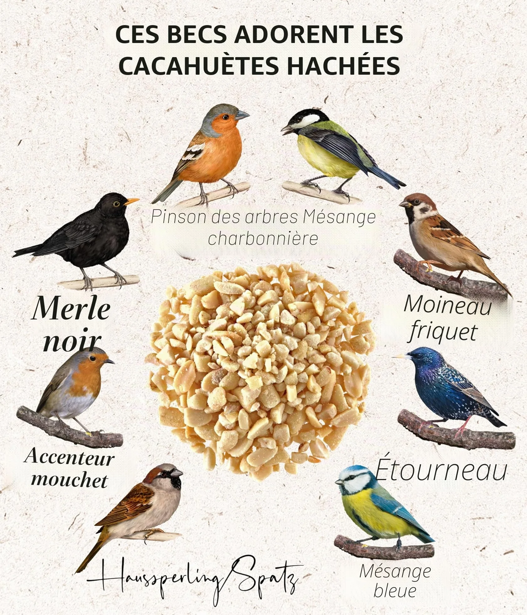 Dehner Natura Premium Nourriture pour Oiseaux Sauvages, arachides concassées, 3,4 kg