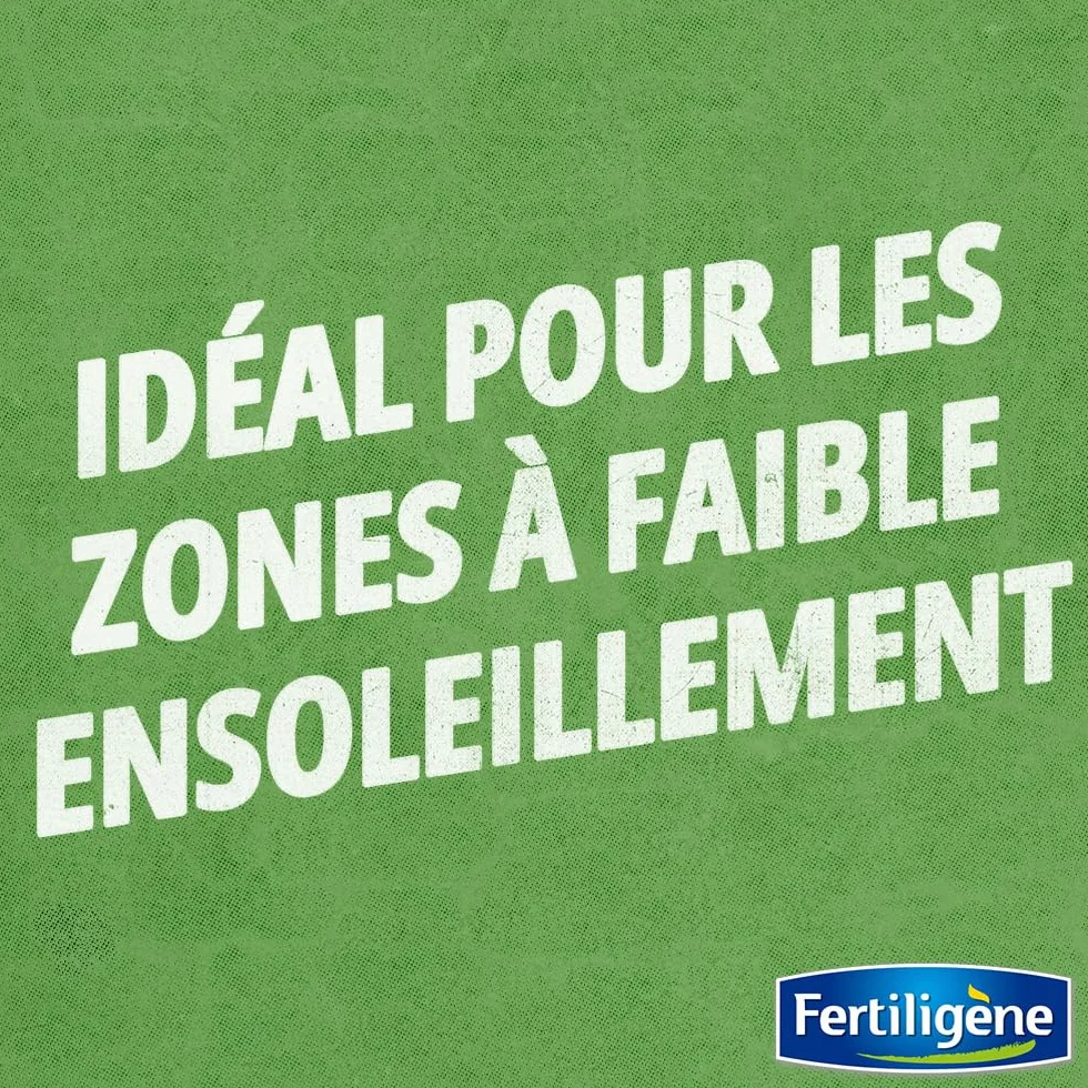 FERTILIGENE OMBR25 - Semences Gazon Terrain Ombragé 875 g - Pour 200m² - Premières pousses en 1 semaine