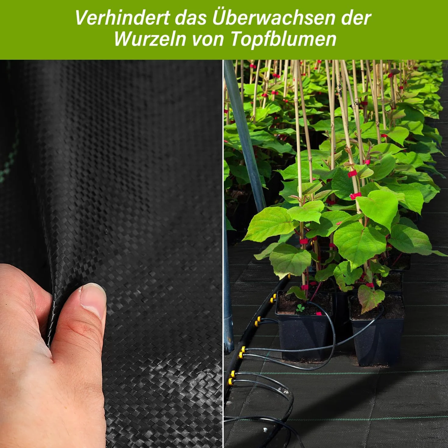 Toile anti-mauvaises herbes 1m x 100m, 100g/m², bâche de jardin extra forte, perméable à l'eau