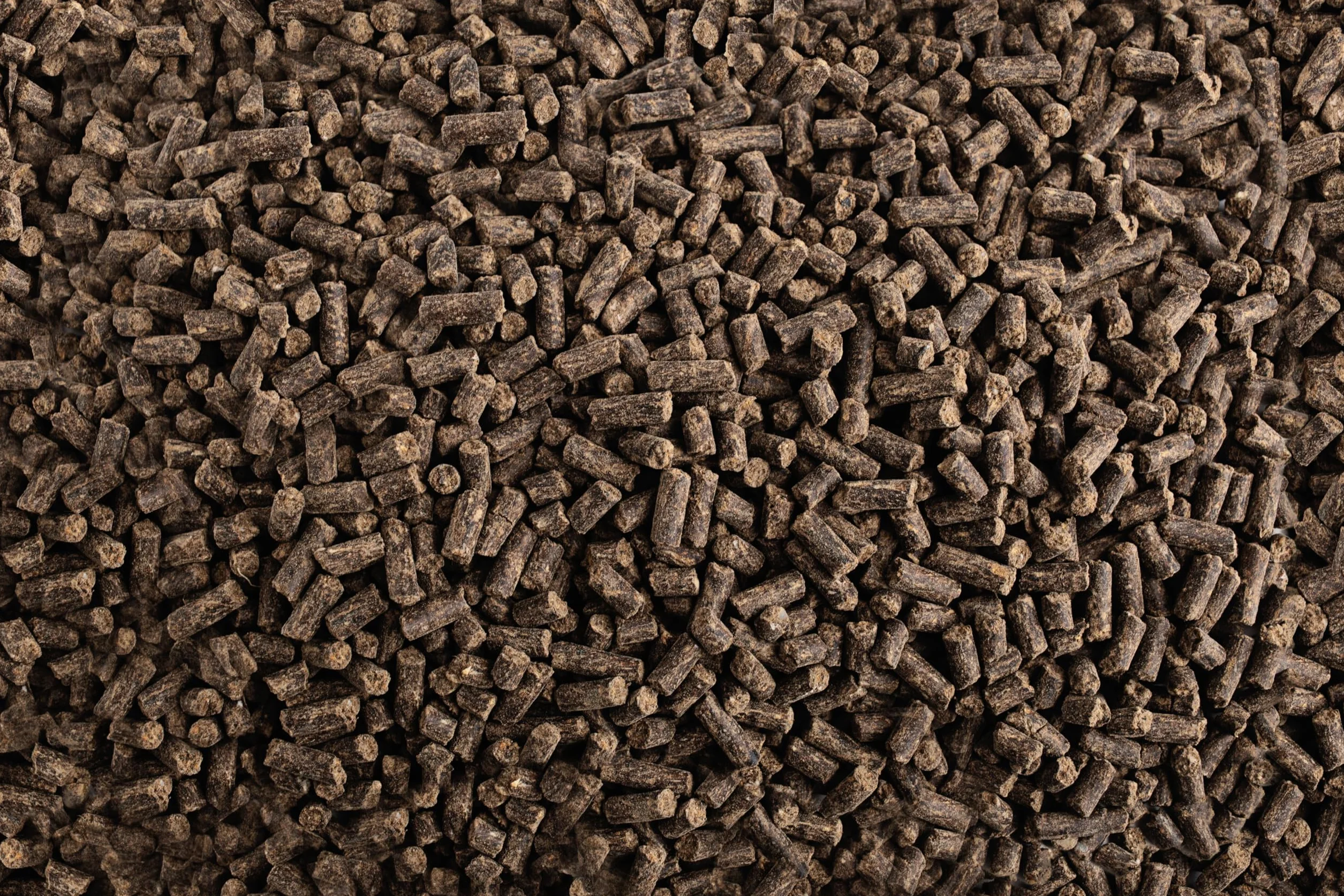 Engrais Organique pour Bonsaï, Aliment Biologique Complet à Libération Lente, 150g
