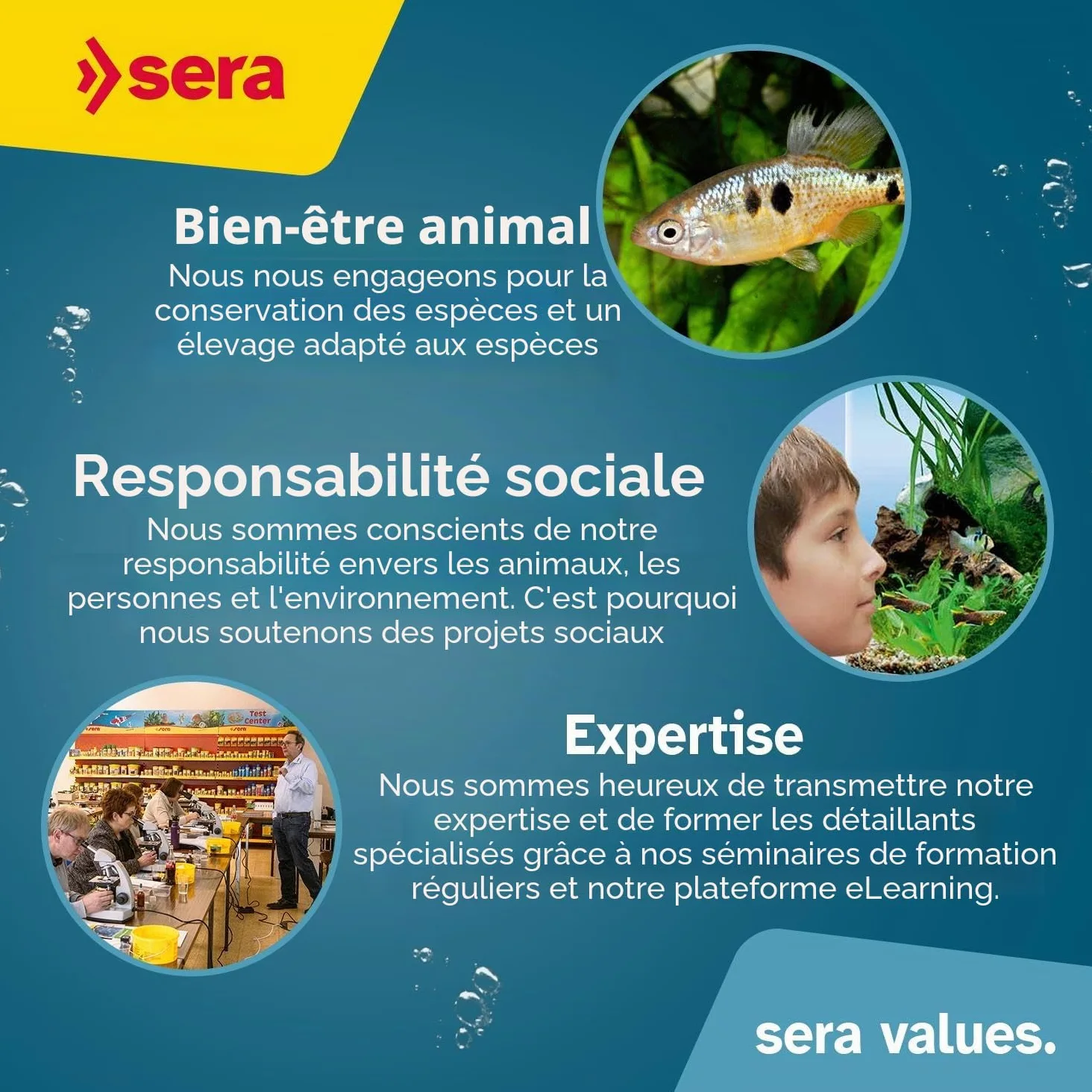 sera Pond Sticks 21 L 3,5 KG | Aliment composé pour Les Grands Poissons de Bassin 21.000 ML 3.500 g | Sticks flottants, conservant Longtemps Leur Forme