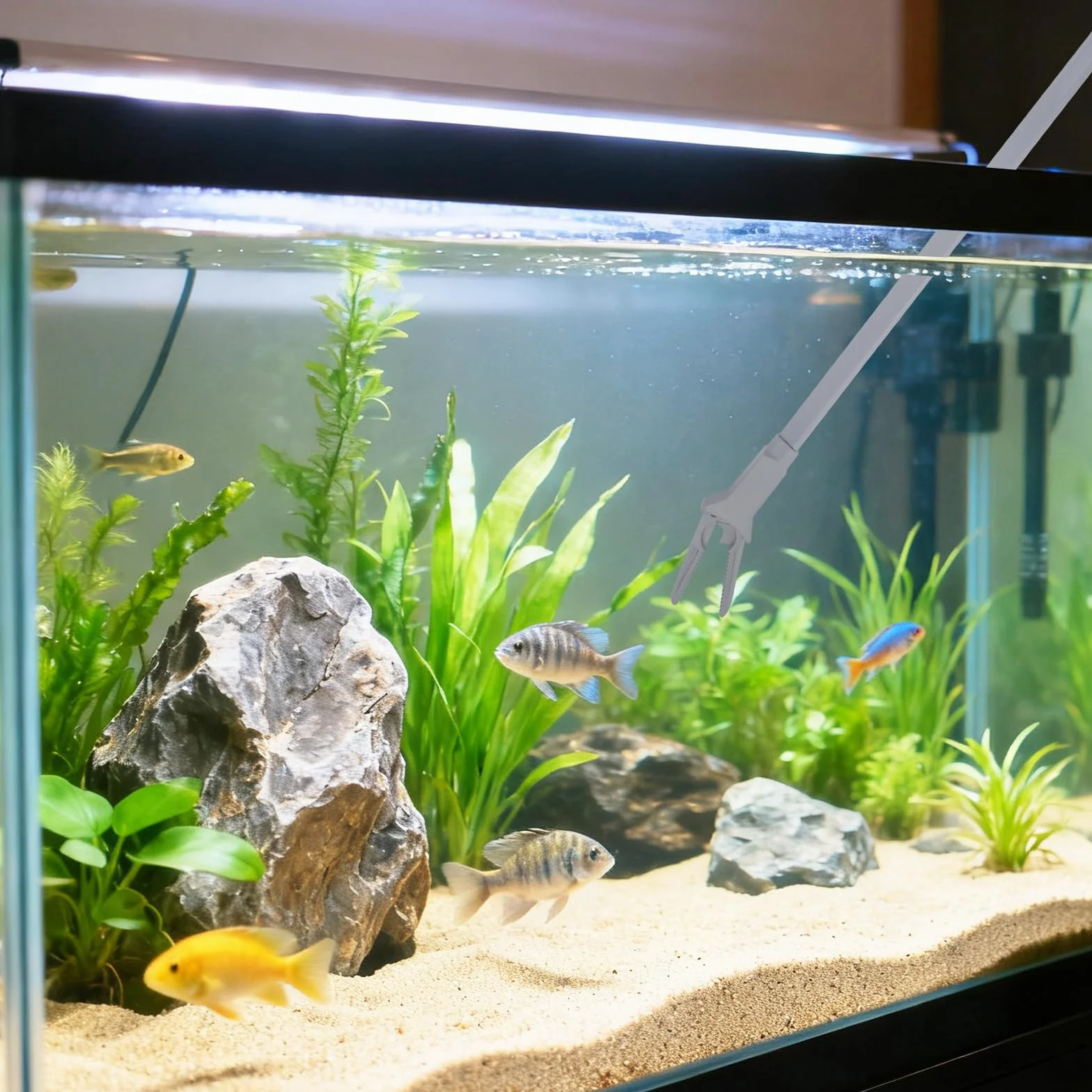 Pinces pour plantes d'aquarium, plastique, 50 cm, entretien plantes aquatiques
