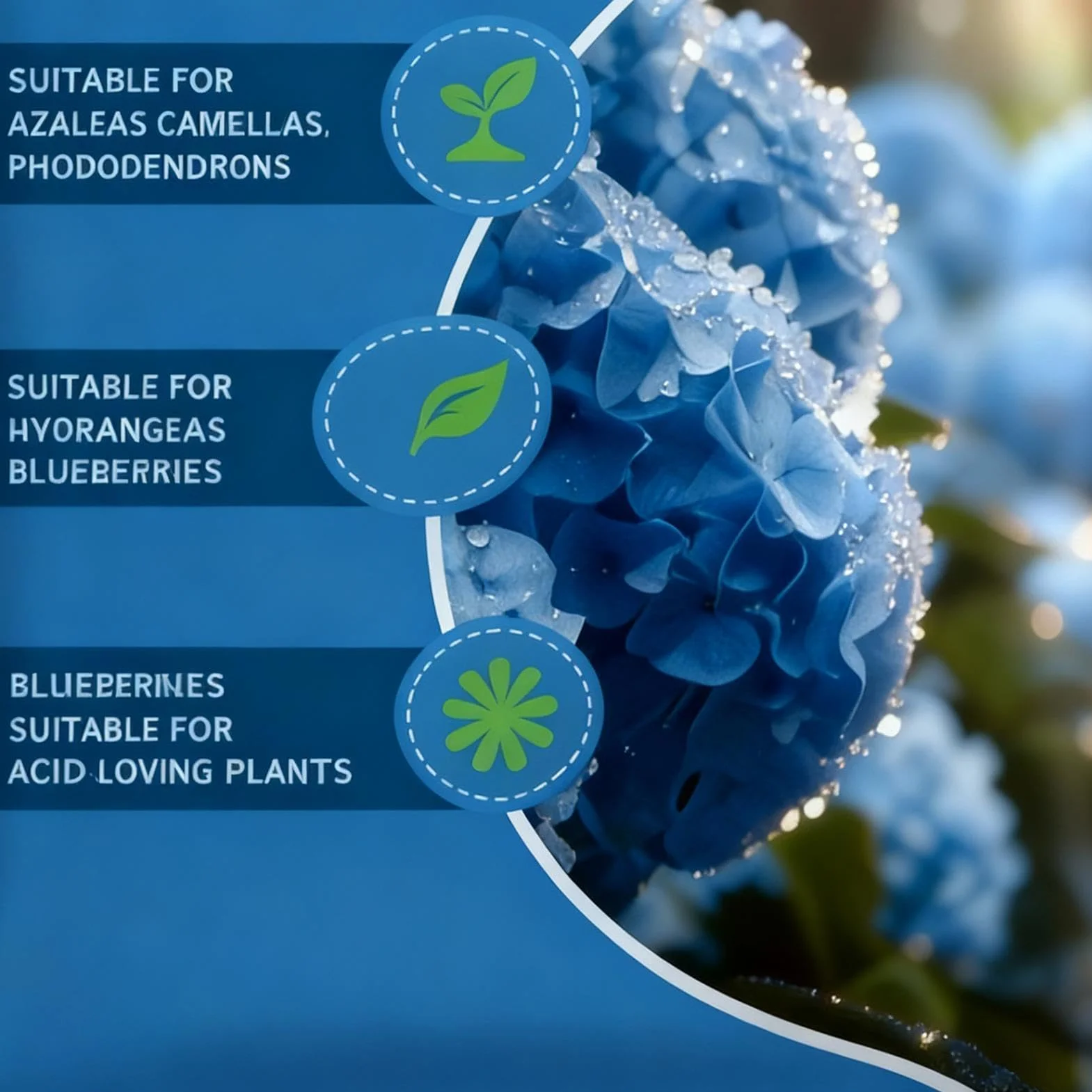 D'engrais Pour Hortensia Devenir Bleu 14x20 Cm Hydrangea Blueing Plant Acidifiant Amendements Doux Abaisseur PH Du Sol En Sulfate D'aluminium Jardins Et Étangs