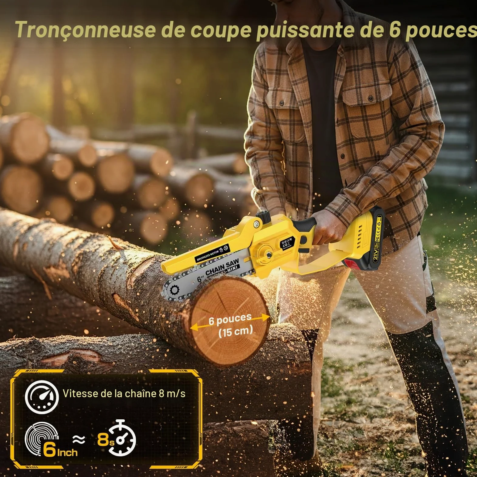 4 en 1 Tronconneuse à Batterie&Secateur Electrique avec Perche Télescopique | Portée Max Jusqu'à 4,2m, 1000 W Moteur & 2 Batterie, Mini Tronconneuse 6 Pouces avec Perche pour Arbres et Élagage en Hauteur