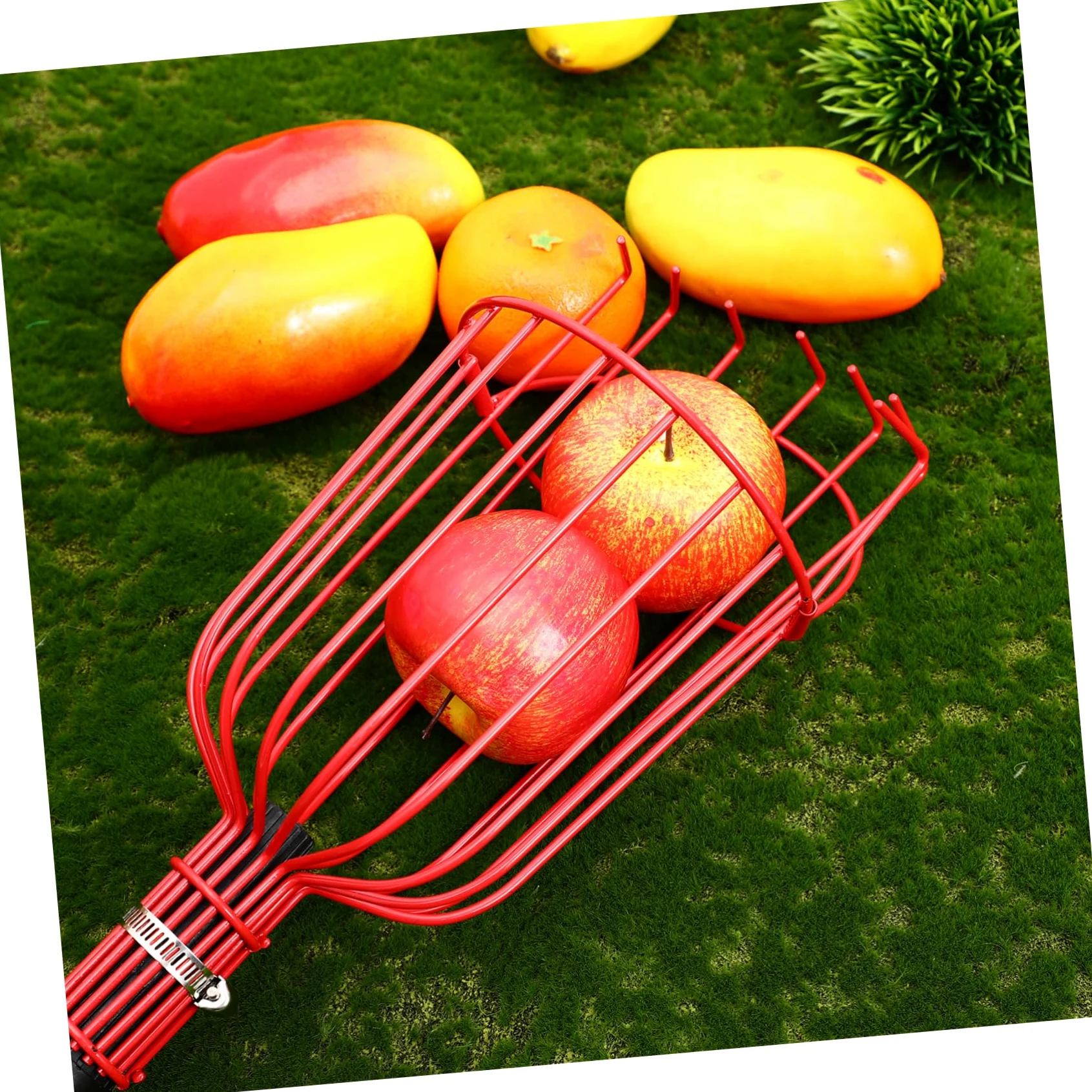 Artibetter Cueille-Fruits Extensible avec Panier pour Pommes Oranges Et Poires Outil pour Fruits avec Perche