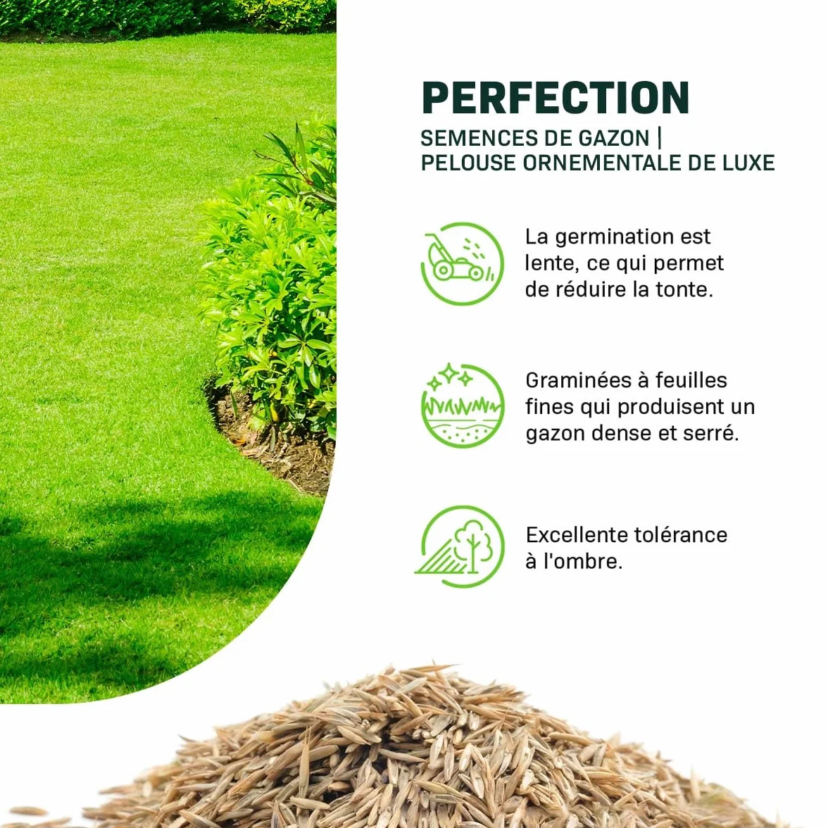 MRS Green Perfection Semences de gazon d'ornement 1 kg pour 50 m²