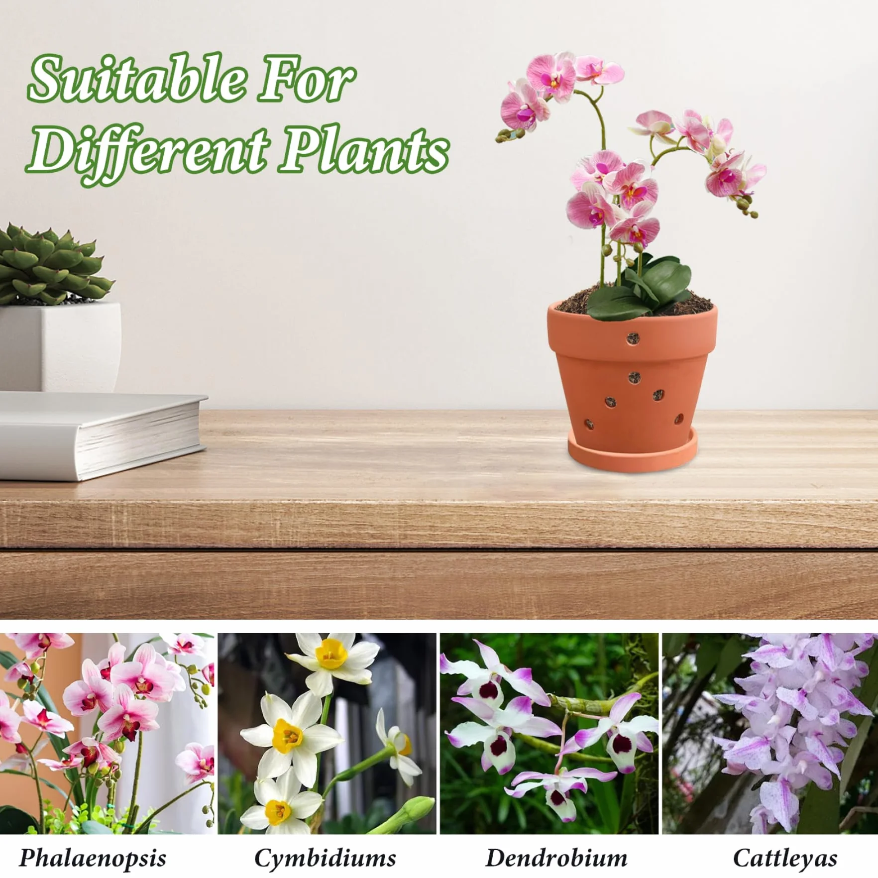 Pots d'orchidées en terre cuite avec trous 4 pouces 3 pièces soucoupes