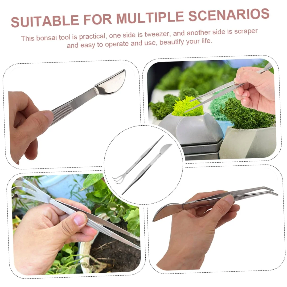 POPETPOP 6 Pièces Pince à Bonsaï Outil De Pincettes Râteau Succulent Pincettes Pour L'artisanat Pincettes Aquascaping Pince à Râteau De Jardinage Terrariums Acier Inoxydable Plante Outils