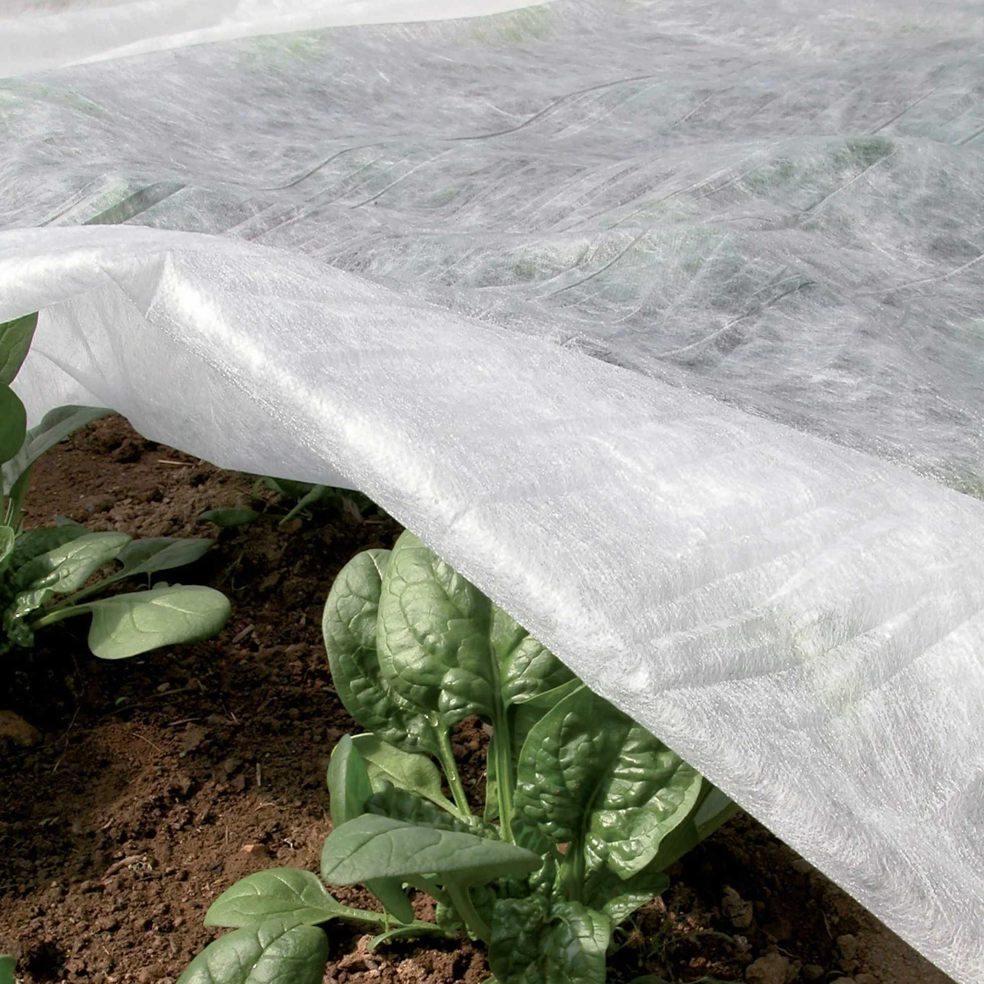 Tenax Ortoclima Plus 2,00x500 m Blanc, Voile d'Hivernage pour Plantes et Cultures, en Tissu Non Tissé 30 g/m², Protège Les Plantes, Fleurs et Légumes du Froid
