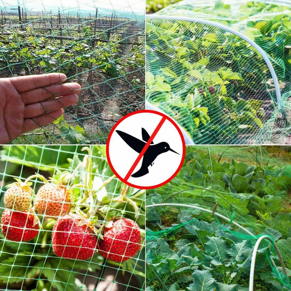 Filet Protection Oiseaux Potager Filet à Oiseaux Robuste Filet pour Arbres Fruitiers,6x10m