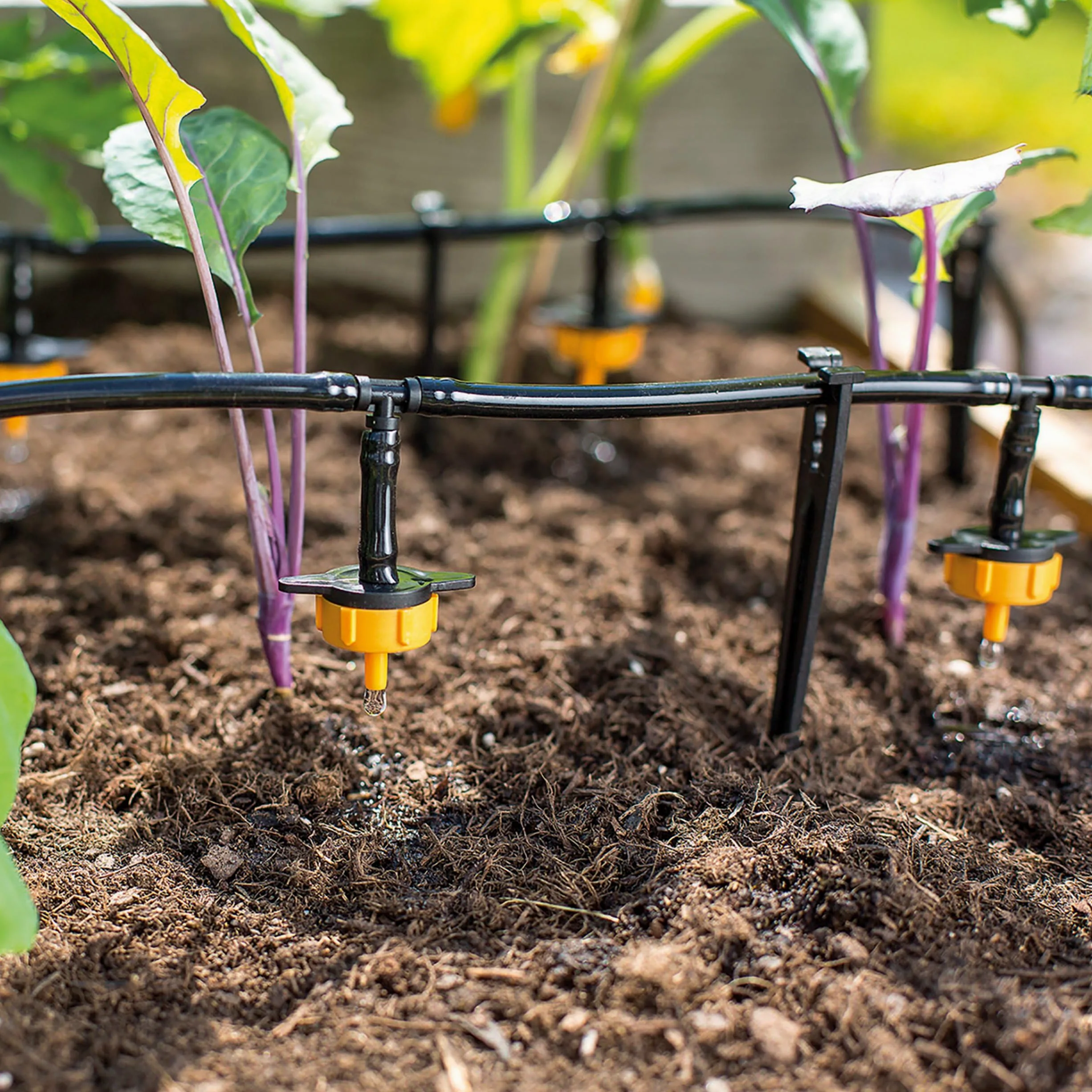 Esotec 101100 Kit complet d'arrosage/Système d'irrigation solaire complet avec 15 goutte-à-goutte