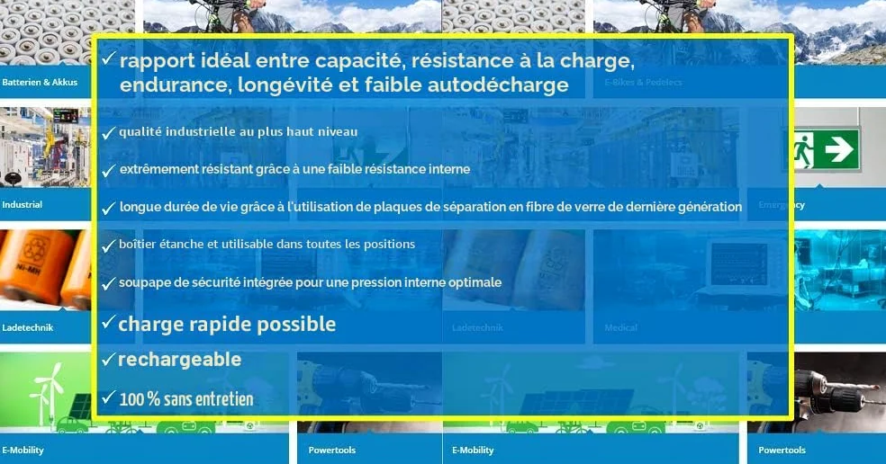 Batterie 23 Ah 12 V AGM Blei Gel Tondeuse à Gazon Tracteur Tondeuse à Gazon Bateau Scooter 17Ah 18Ah 19Ah 20Ah 22Ah QB