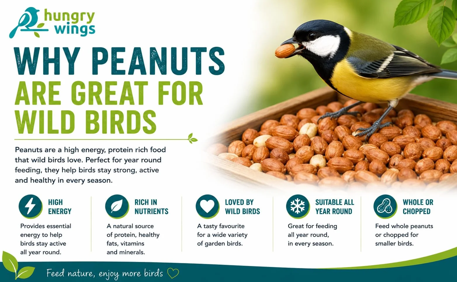 Nourriture pour Oiseaux Sauvages 5 L, Cacahuètes