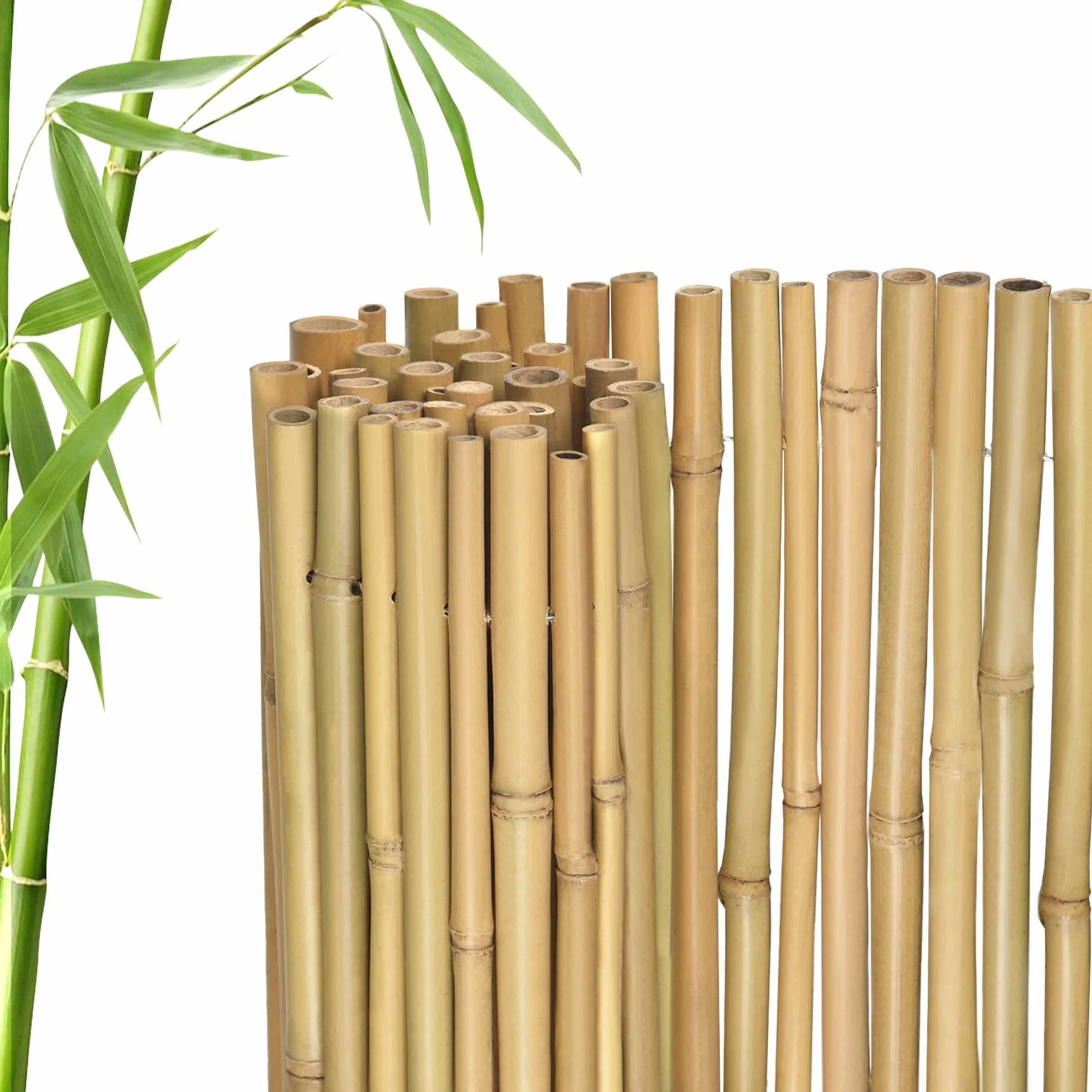 Jarolift Brise-Vue Bambou 140 x 300 cm Naturel