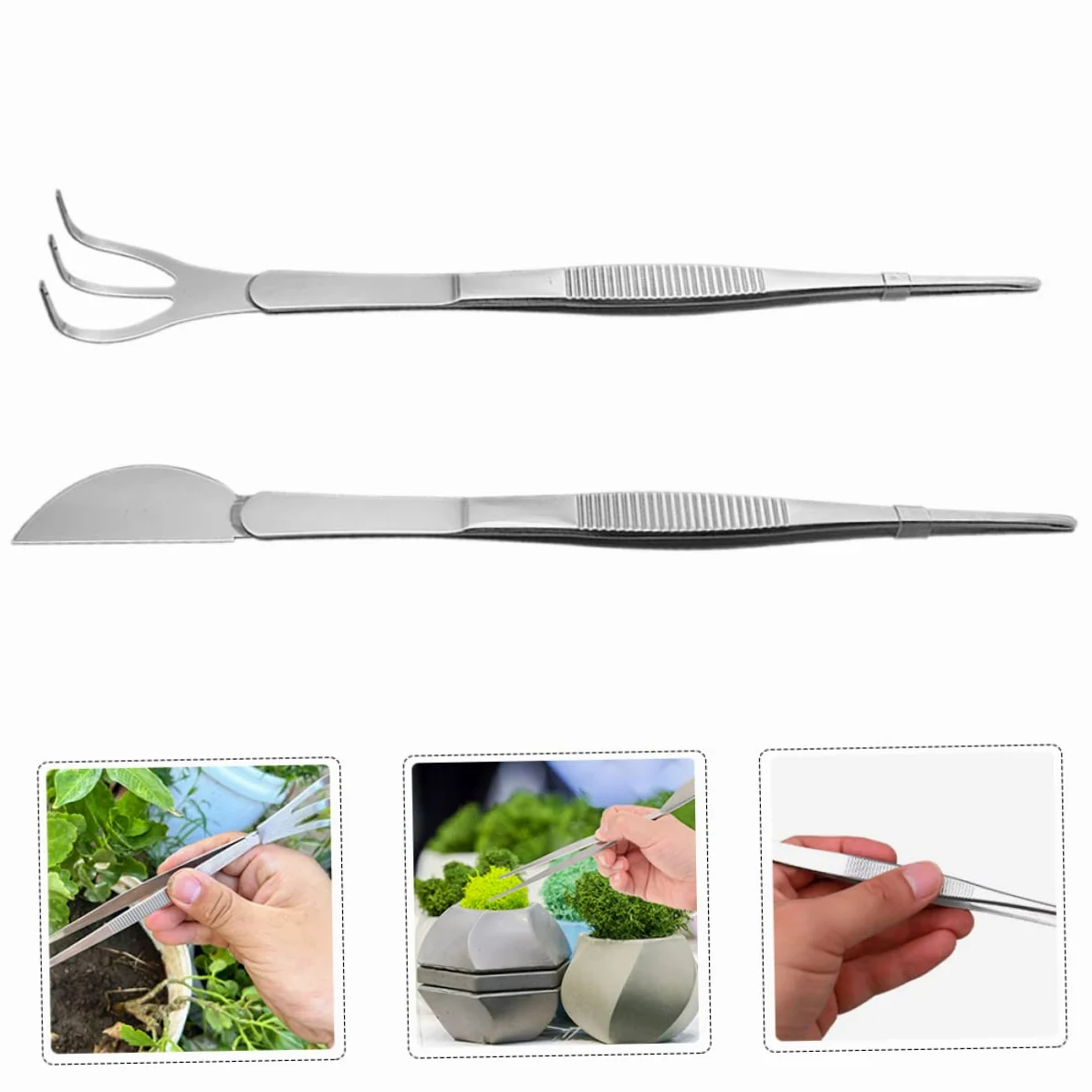 POPETPOP 6 Pièces Pince à Bonsaï Outil De Pincettes Râteau Succulent Pincettes Pour L'artisanat Pincettes Aquascaping Pince à Râteau De Jardinage Terrariums Acier Inoxydable Plante Outils