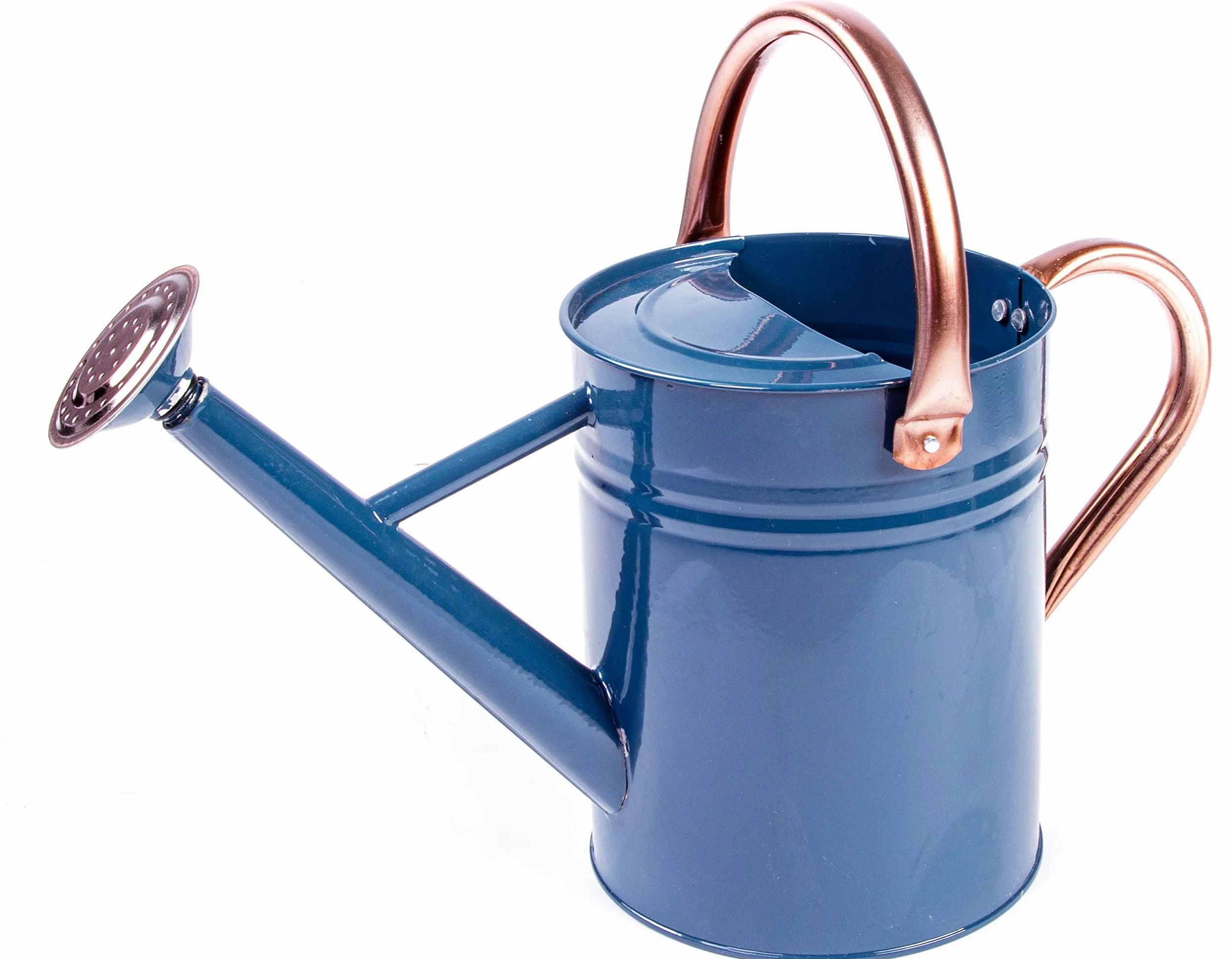 Gardman Arrosoir de 3,8 l, Bleu Nuit