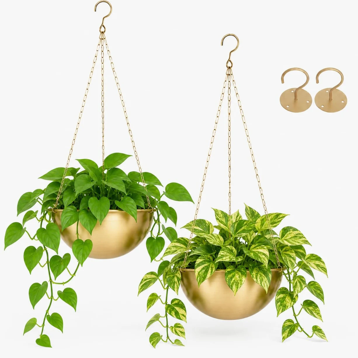 AceList Lot de 2 jardinières dorées à suspendre pour plantes d'intérieur – 24 cm – Suspension bohème en métal avec crochets, support de plante suspendu pour fenêtre et plafond