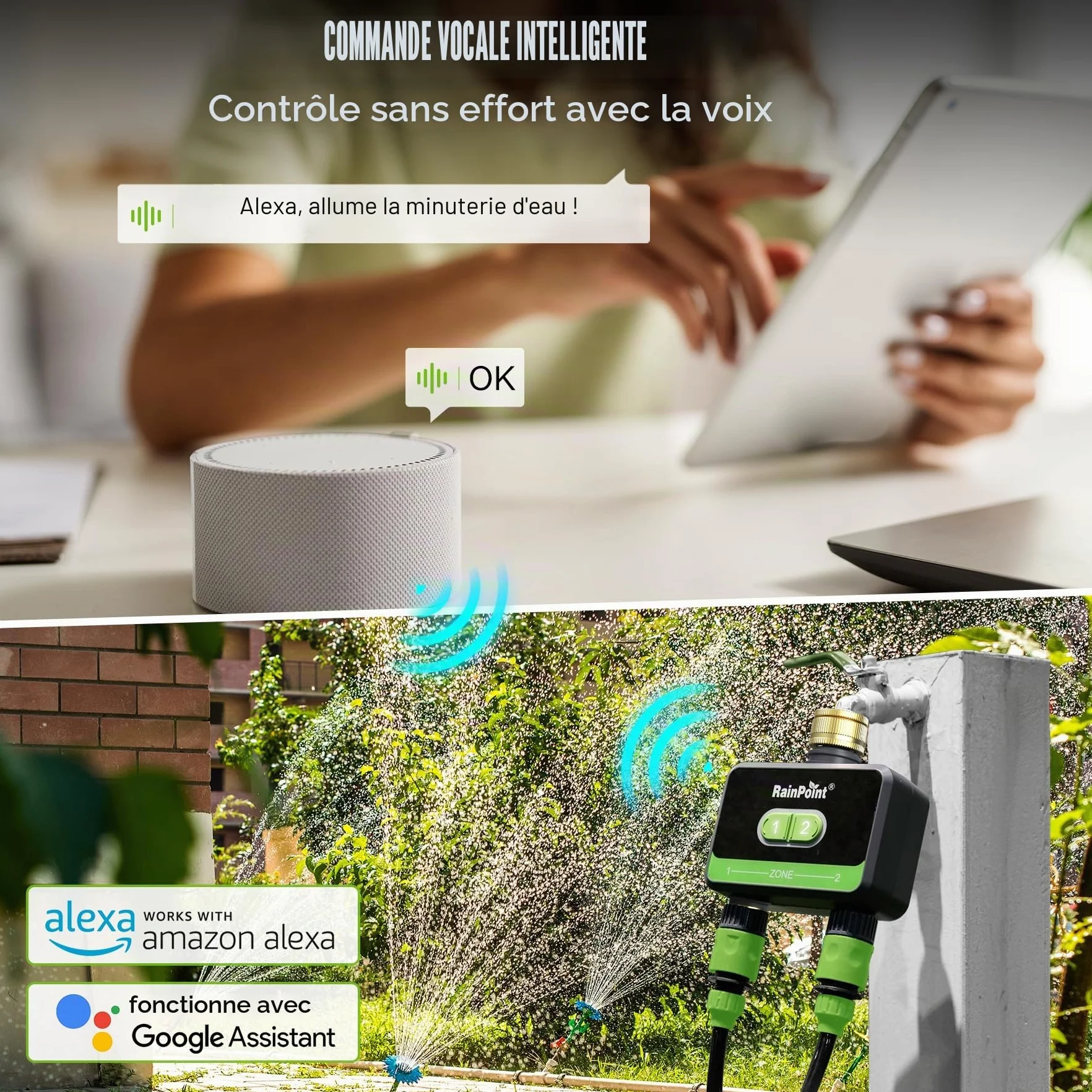 RAINPOINT Programmateur Arrosage WiFi 2 Sorties Laiton Automatique Jardin Application Commande Vocale