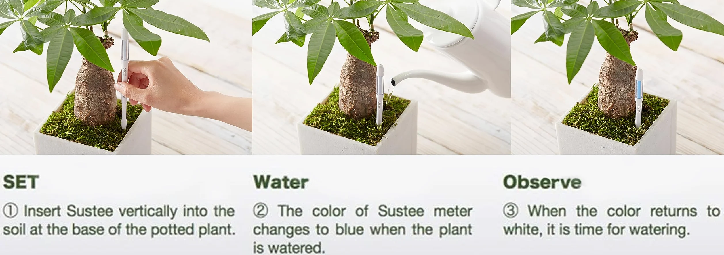 IPPINKA Aquamètre Sustee - Lot de 36 - Humidimètre pour plantes d'intérieur - Blanc moyen - Rechargeable
