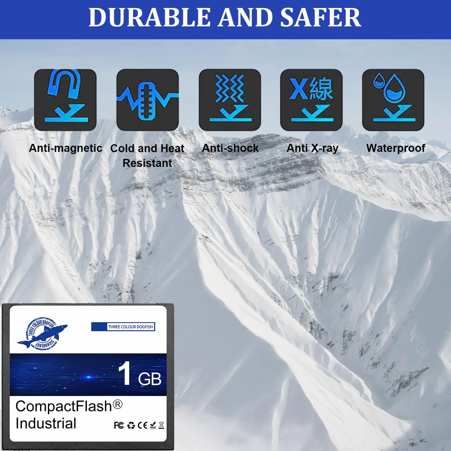 Dogfish Carte Mémoire Compact Flash 1Go 10PACK Type I pour Appareil Photo Numérique