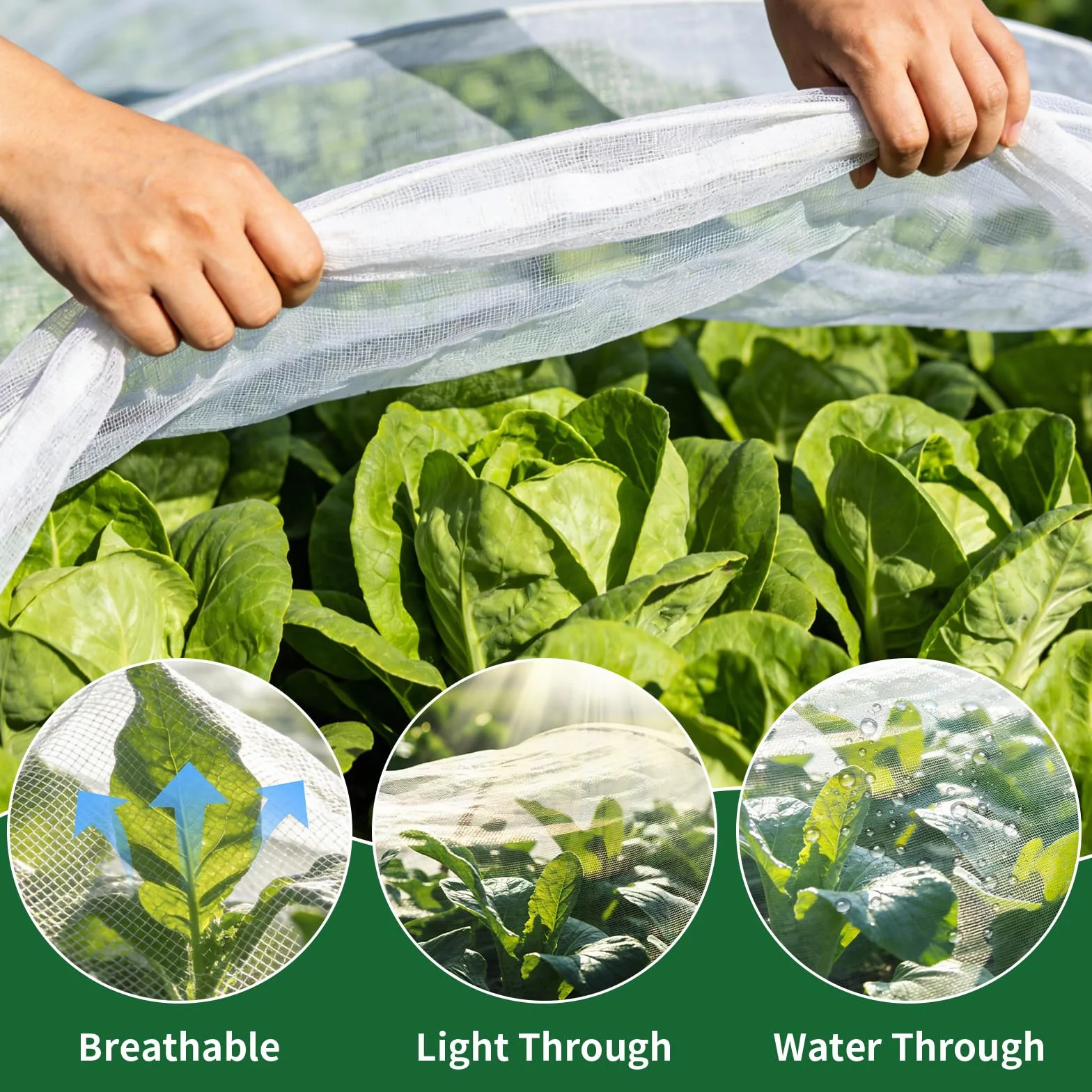 Filet Anti-Insectes 1.2 x 3m Maille Fine Protection Plantes Potager
