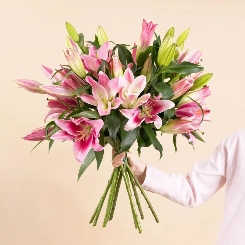 Bouquet de Lys Roses Fraîches, env. 5 Tiges