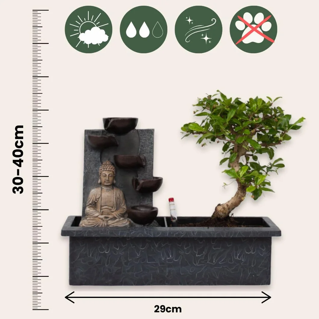 Bonsaï avec système d'eau cascade statue Bouddha plante d'intérieur 25-35cm