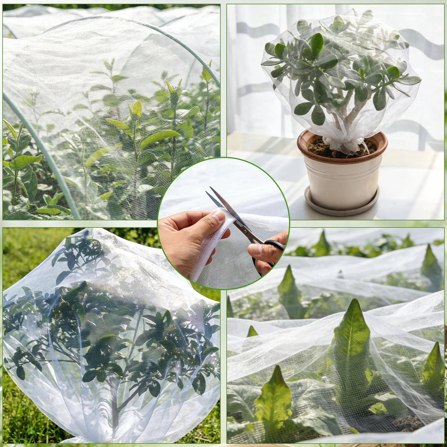 Filet Anti-Insectes 1.2 x 3m Maille Fine Protection Plantes Potager