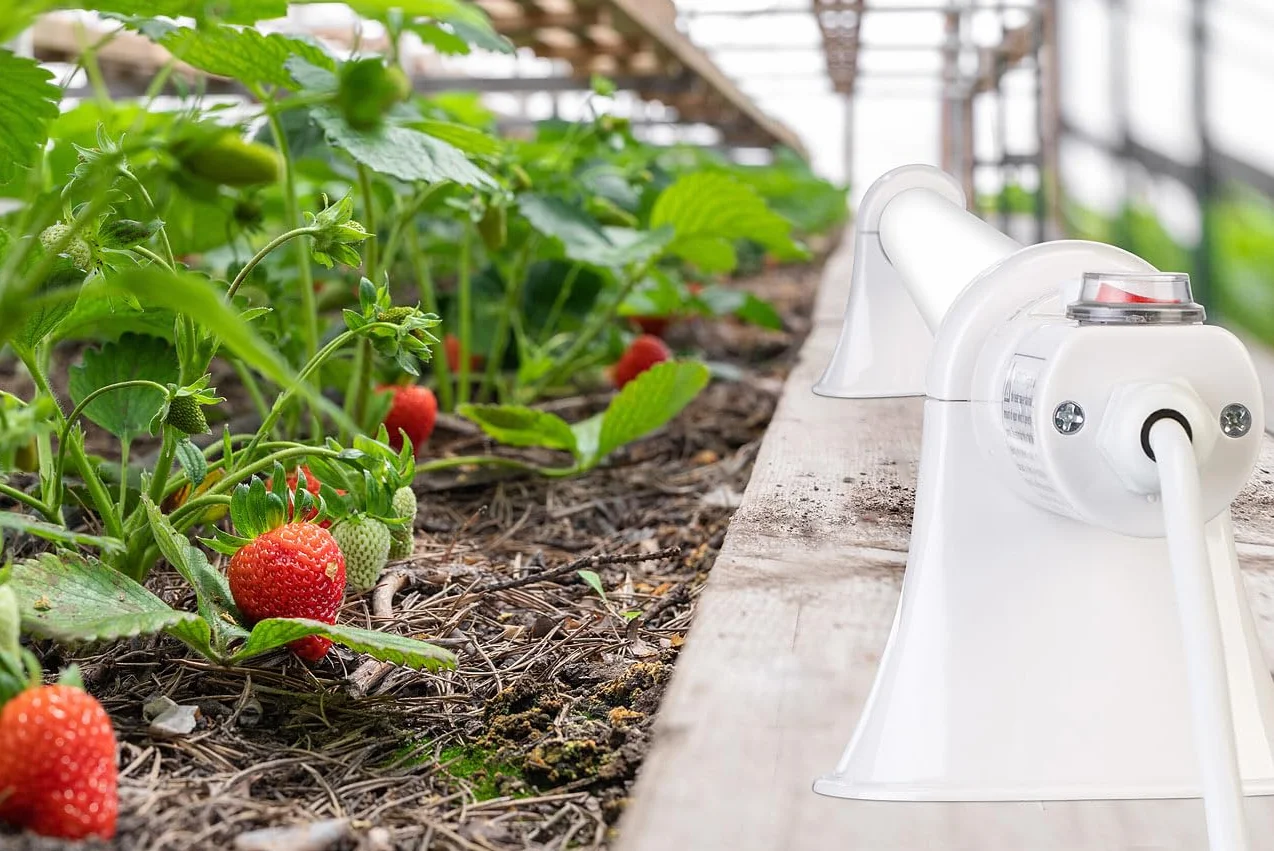 Royal Gardineer radiateurs tubulaires électriques 55 W pour serre de jardin
