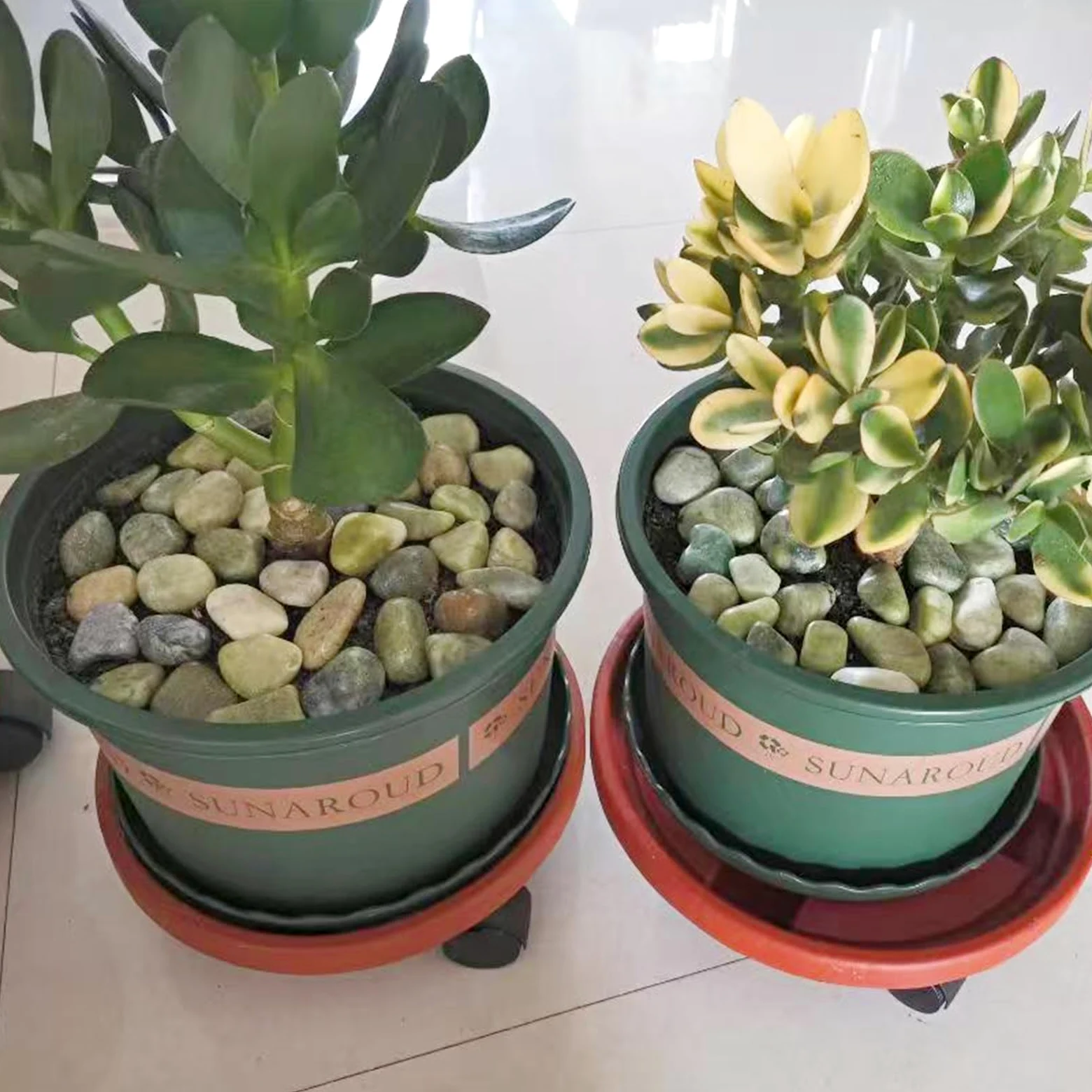 FANTIAN Pierres de rivière en jade de 9 kg pour l'aménagement paysager, galets décoratifs de 2,5 à 5,1 cm pour plantes d'intérieur, vases, cour, travaux manuels et jardin