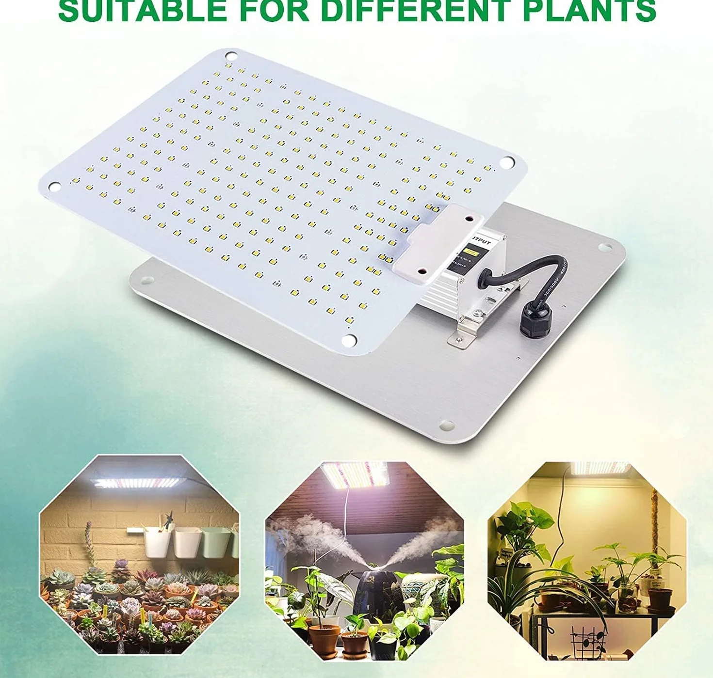 COKOLILA Lampe de Croissance LED 1000W Spectre Complet 222 LEDs SMD IR Dimmable pour Plantes d'Intérieur 90x90cm