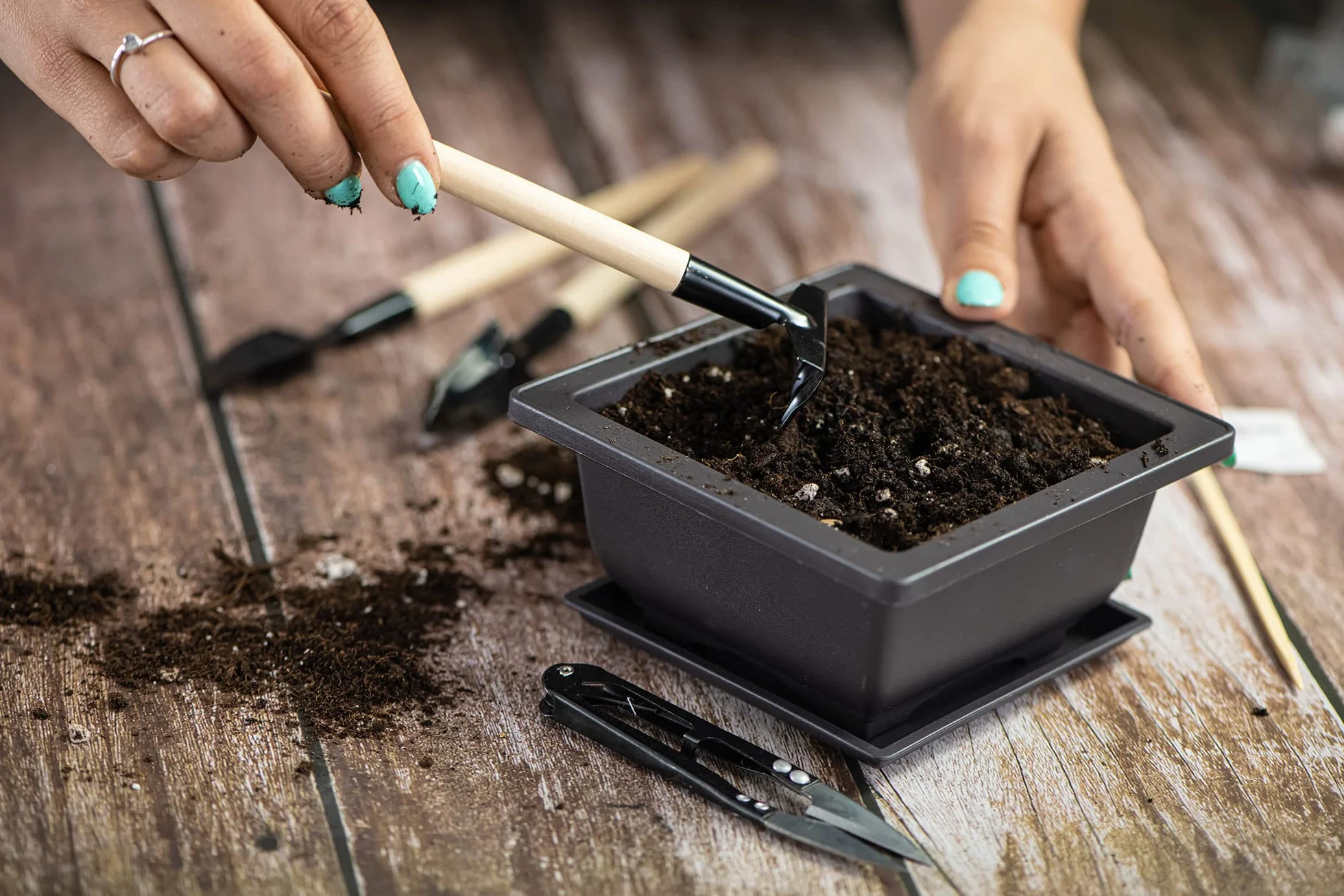 Kit de Démarrage Bonsai Japonais Authentique - 3 Variétés de Graines, Terreau, Pots, Outils, Coffret Cadeau