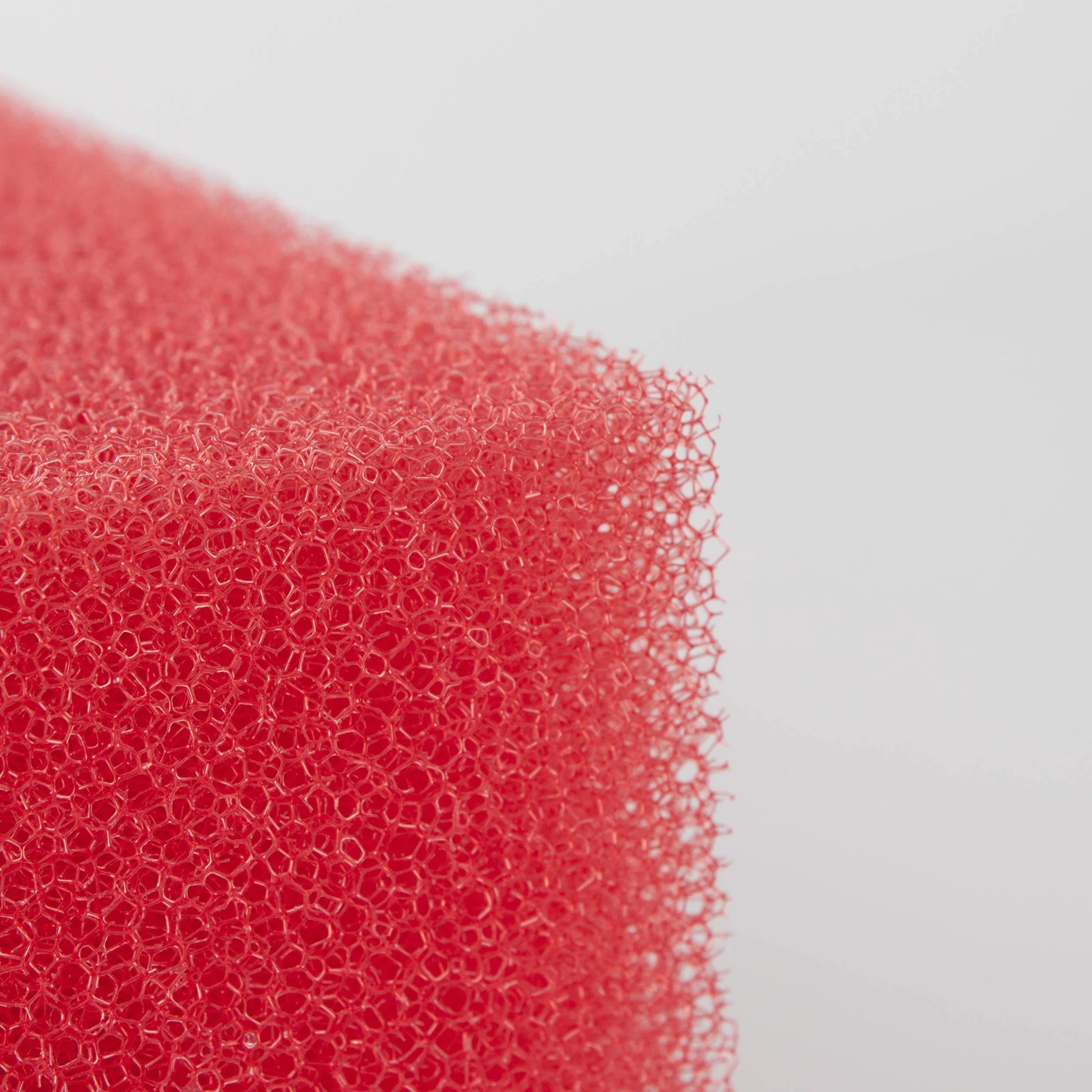 Générique LTWHOME Compatible en Mousse Convient pour Oase Biotec Screenmatic 18 & 36 Remplacement Etang Moyen Rouge Mousseux Filtre Éponge (Paquet de 8)