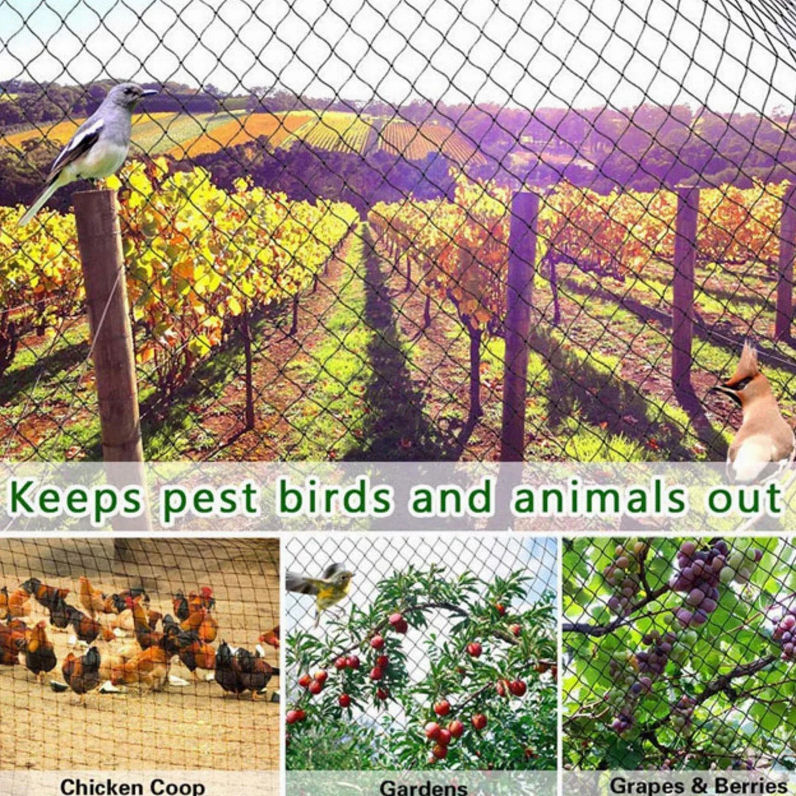 Filet Jardin Anti Oiseaux Filet pour Arbres Fruitiers Protection Contre Les Oiseaux, Les Feuilles, Les Oiseaux,4x10m